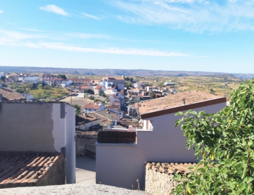 RECORRIDO POR FERMOSELLE, BENAVENTE, PUEBLA DE SANABRIA,  DESPEDIDA DE ZAMORA A ORILLAS DEL  RÍO DUERO Y VISITA A SALAMANCA.