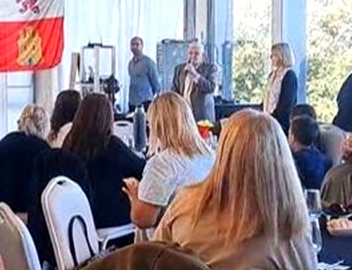 26 de Abril: Día de Castilla y León. Te Bingo