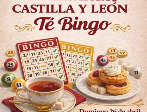 26 de Abril: Te Bingo