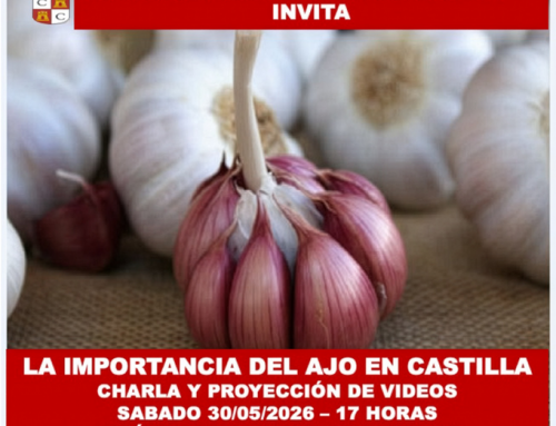 30 de Mayo 2026: La Importancia del ajo en Castilla